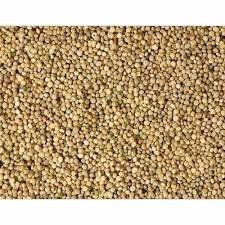 Guar Gum Seed